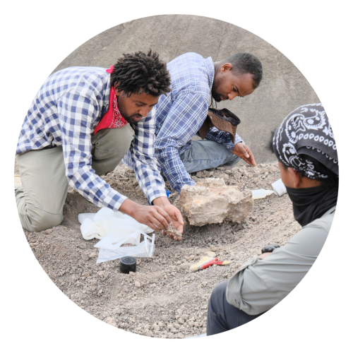 Blade Redae excavating Hadar