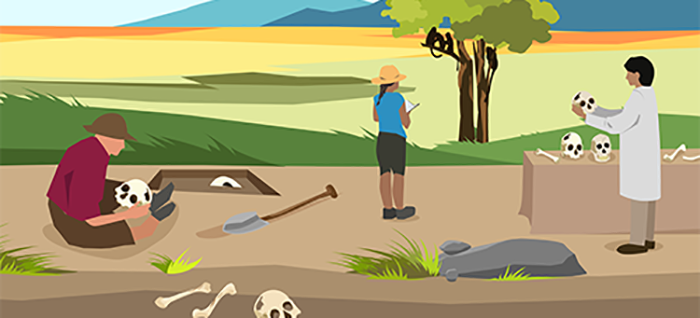 ask an anthropologist image