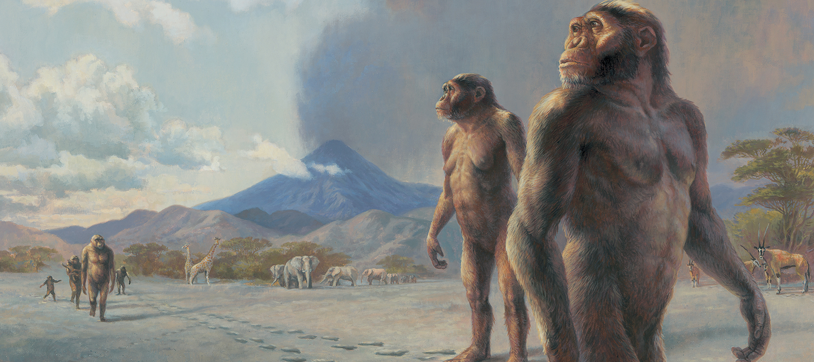 The Impact of "Lucy" on Human Origins Science