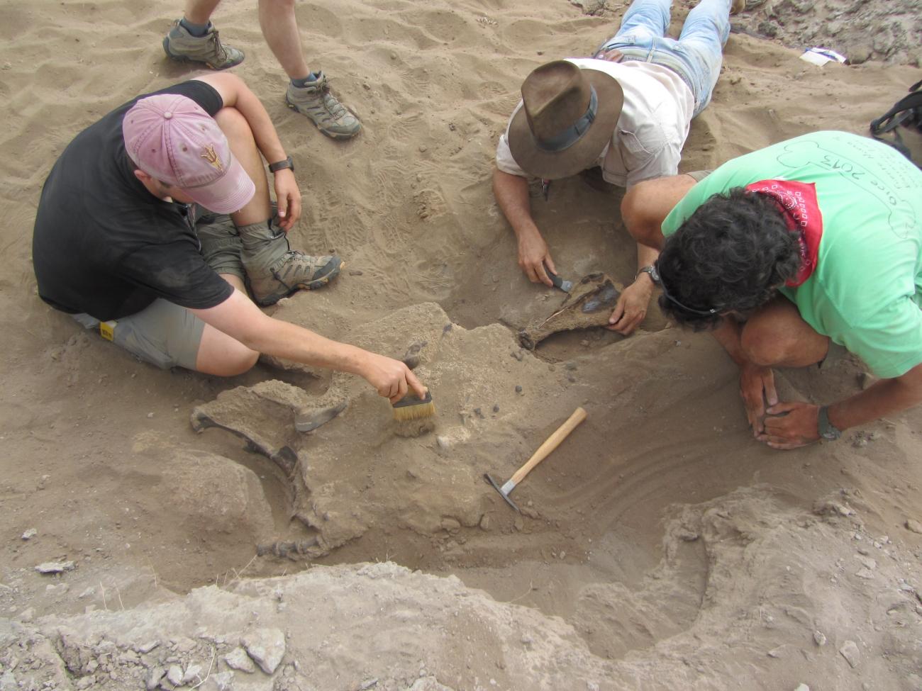 Give to the Institute of Human Origins