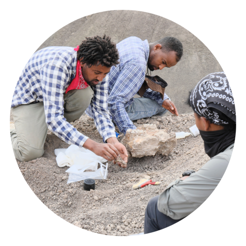 Blade Redae excavating Hadar