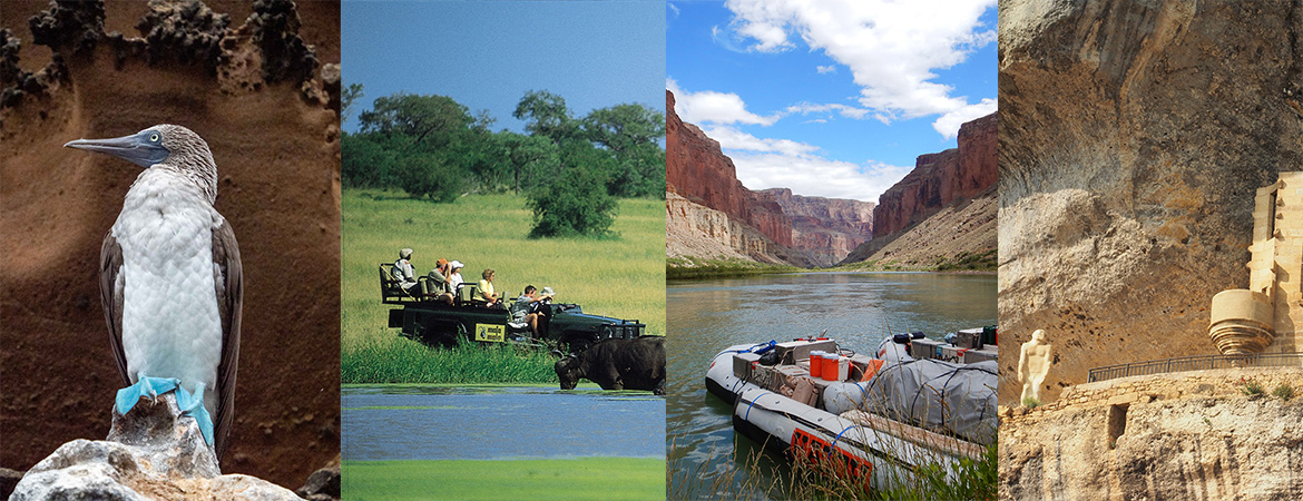 travel collage